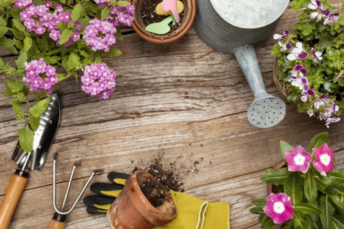Professional lawn mowing service in Shepherds Bush