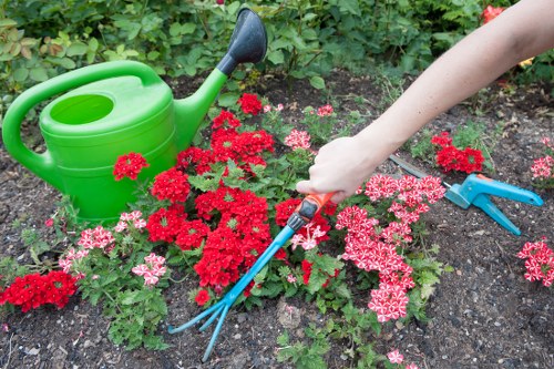 Front lawn with gardener arriving at a property
