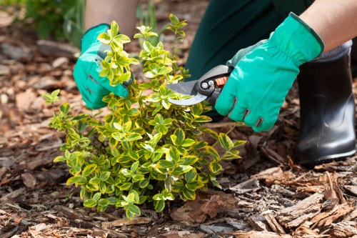 Staff working in Shepherds Bush gardens engaged in ethical labour practices