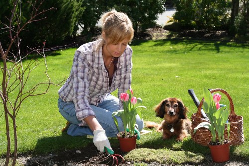 Professional garden design elements