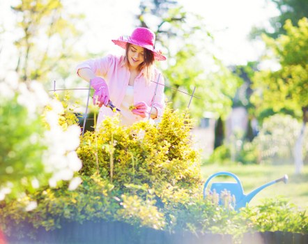 Gardener working in Shepherds Bush garden